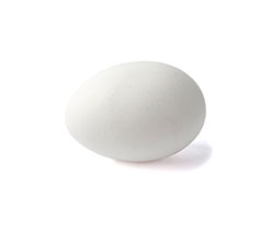 Ovos Brancos