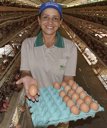 Fazenda Sede da Coopeavi